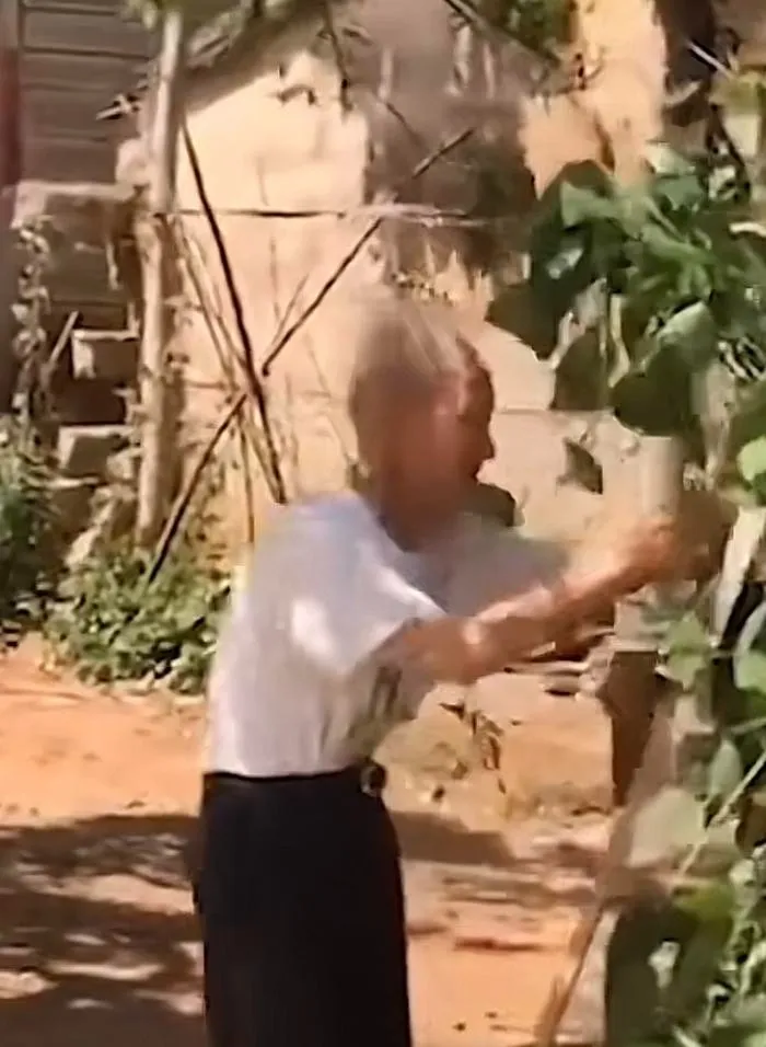 cham-soc-nguoi-dung-suot-12-nam-nguoi-dan-ong-bat-ngo-duoc-thua-ke-gia-tai-tien-ty (6)