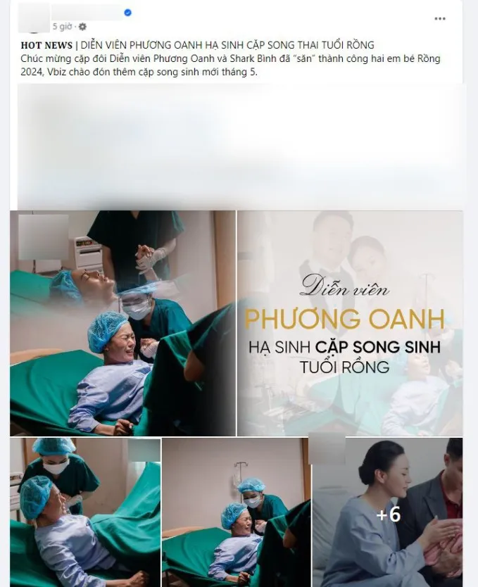 ram-ro-hinh-anh-phuong-oanh-ha-sinh-cap-song-sinh (4)