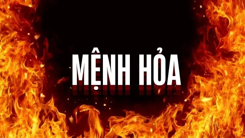 menh-hoa-hop-cay-gi (1)