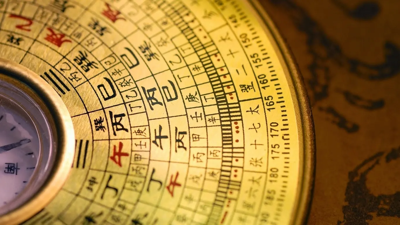 menh-kim-hop-cay-gi (8)