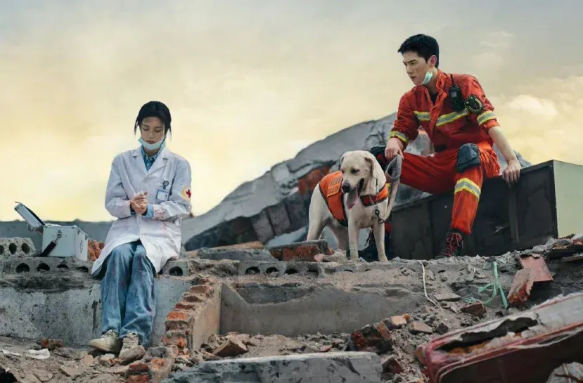 dien-xuat-but-pha-cua-nam-phu-trong-khoi-lua-nhan-gian-cua-toi-an-dut-luon-duong-duong