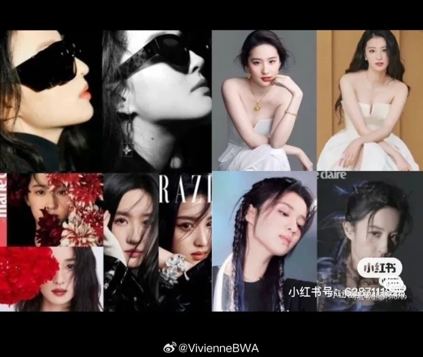 mang-danh-sao-chep-phong-cach-than-tien-ty-ty-sao-nu-nhan-ve-loat-chi-trich-khi-chung-khung-hinh-voi-luu-diec-phi