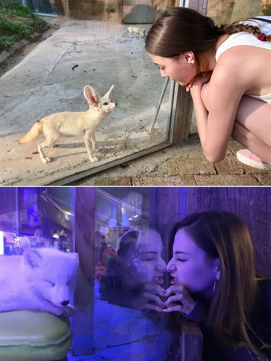 nang-dat-ky-lai-tay-trong-bom-tan-hon-9000-ty-va-mieng-bat-ngo-voi-phan-ung-cua-netizen