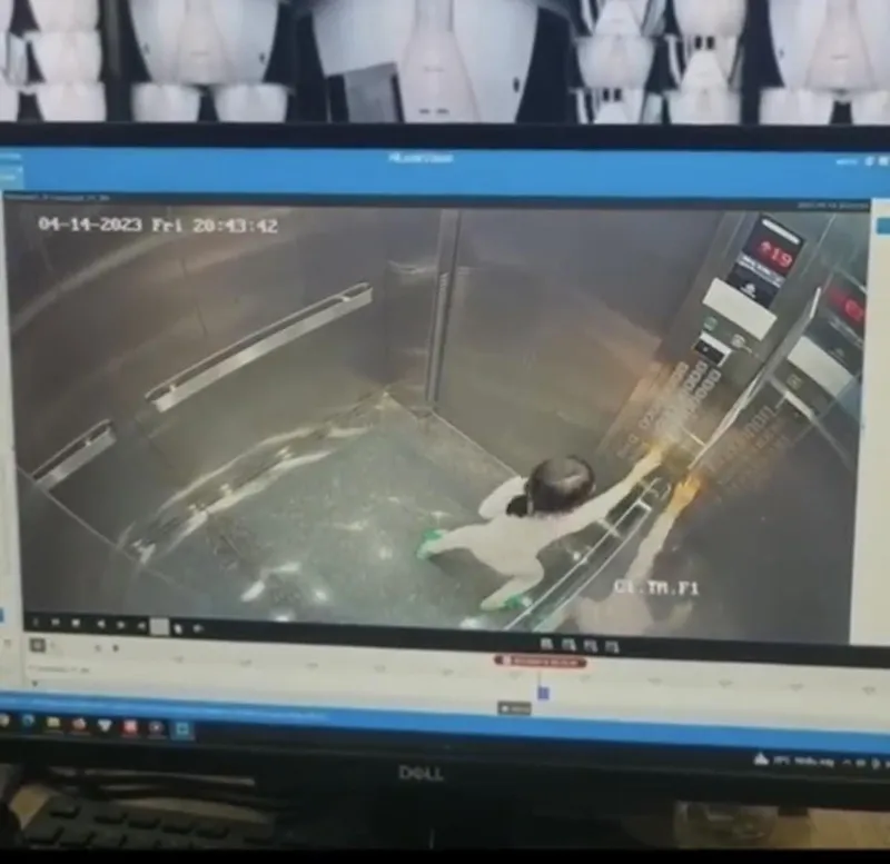 hai-ba-chau-ket-thang-may-2