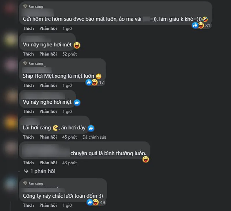 cong-ty-giao-hang-lam-mat-tui-hieu-chi-den-500k-3