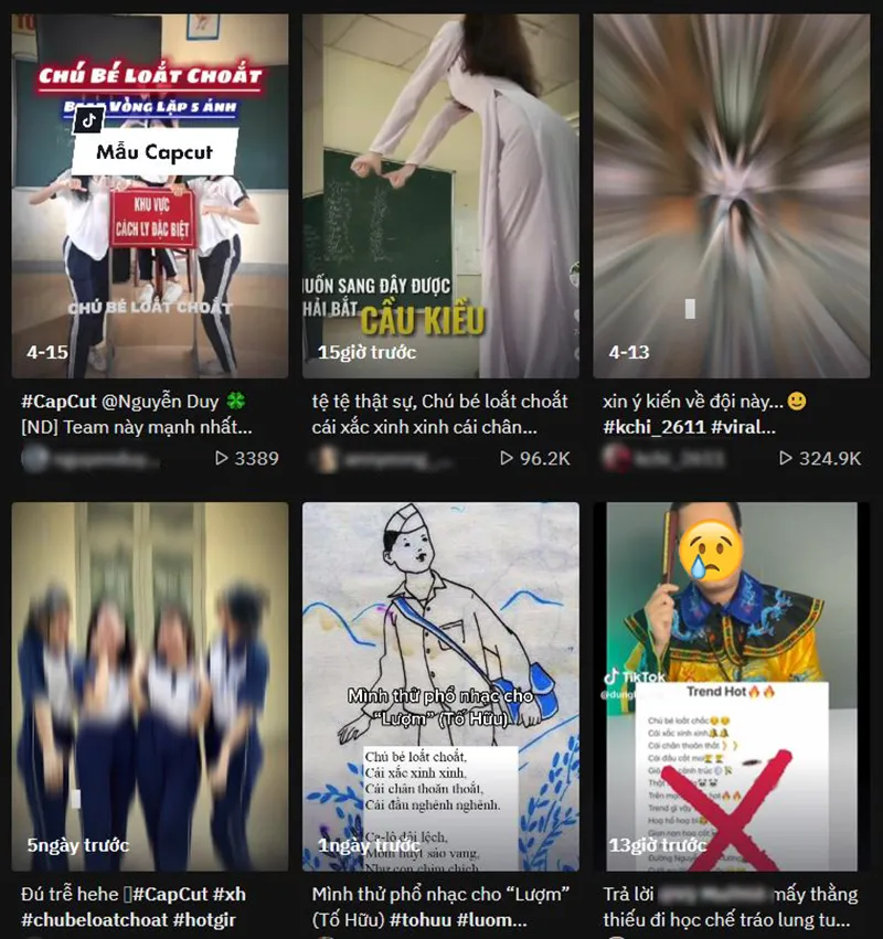 phan-no-bai-tho-luom-bi-che-loi-phan-cam-5