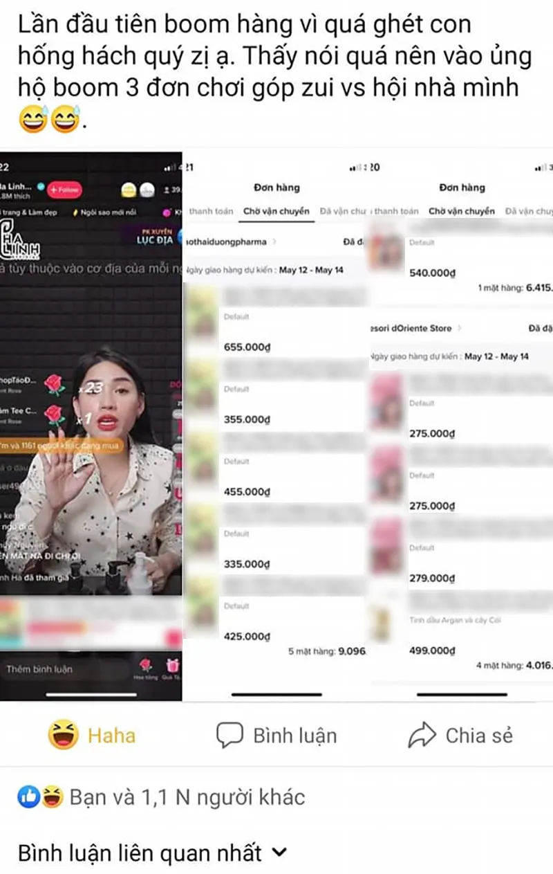 ha-linh-bi-antifan-bom-hang-1