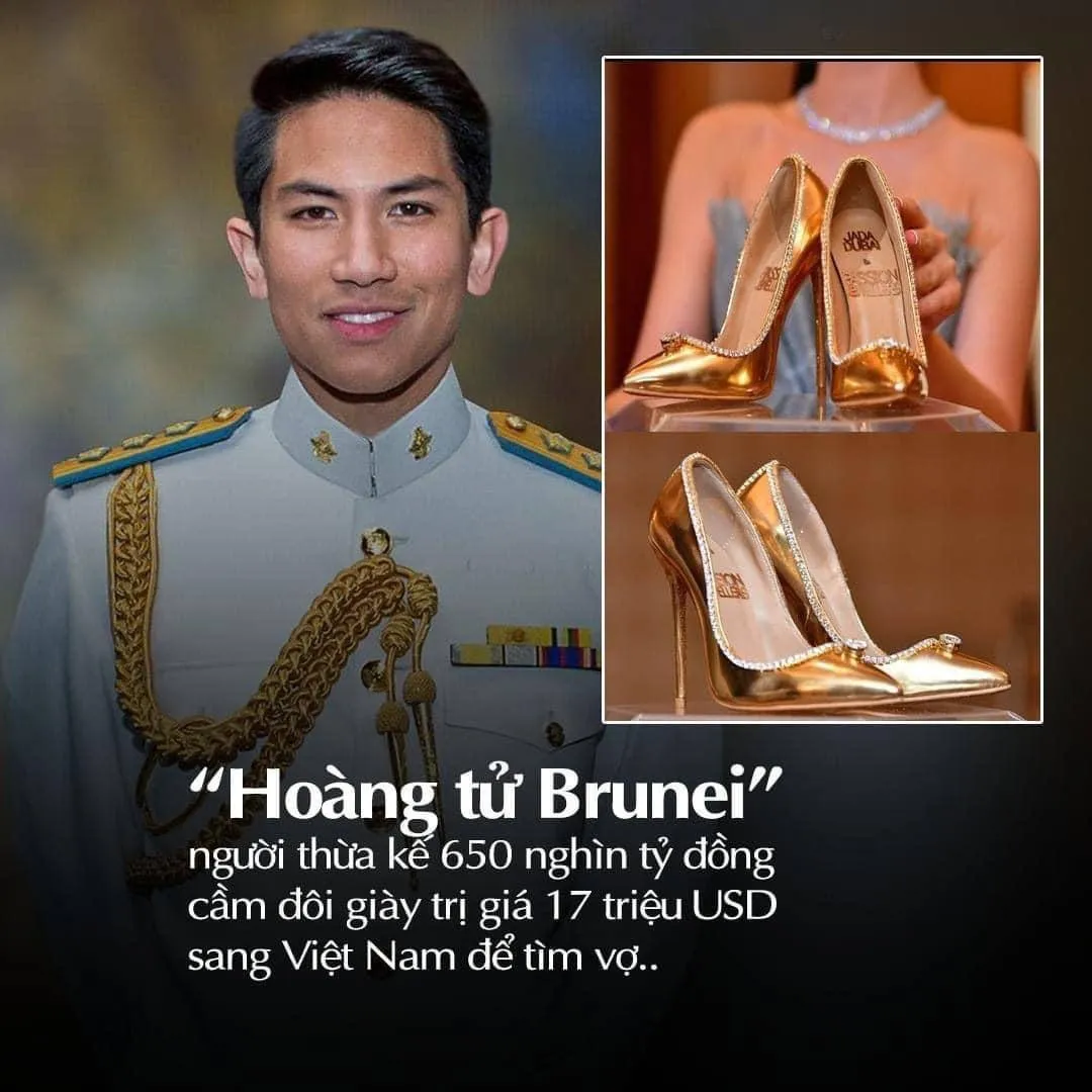 thuc-hu-tin-hoang-tu-brunei-sang-viet-nam-tuyen-vo-1