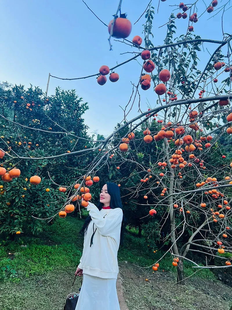 phu-don-cuoi-vo-tre-kem-25-tuoi-9