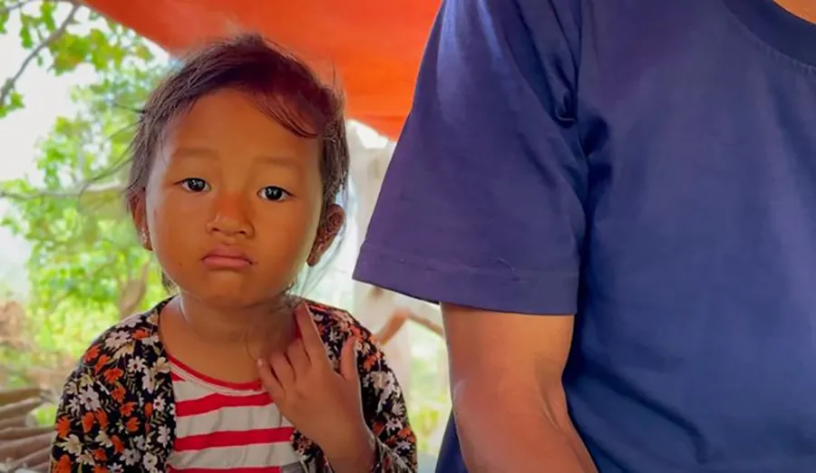 be-gai-3-tuoi-song-giua-rung-va-loi-ke-xot-xa-cua-ong-ngoai-1