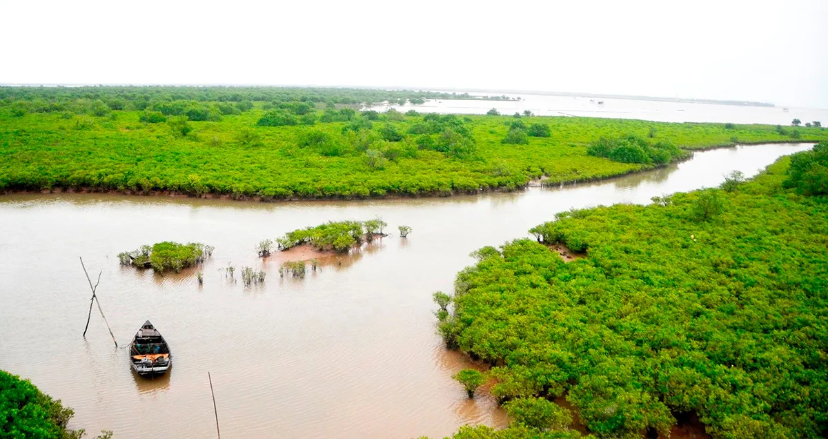 hoc-sinh-phu-huynh-gap-nan-khi-trai-nghiem-bat-ngao-o-vuon-quoc-gia-xuan-thuy-1