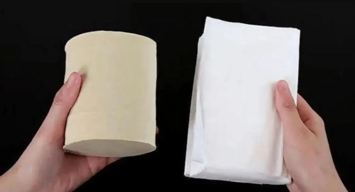 chon-giay-ve-sinh-mau-trang-hay-mau-vang-moi-tot-cho-suc-khoe-1