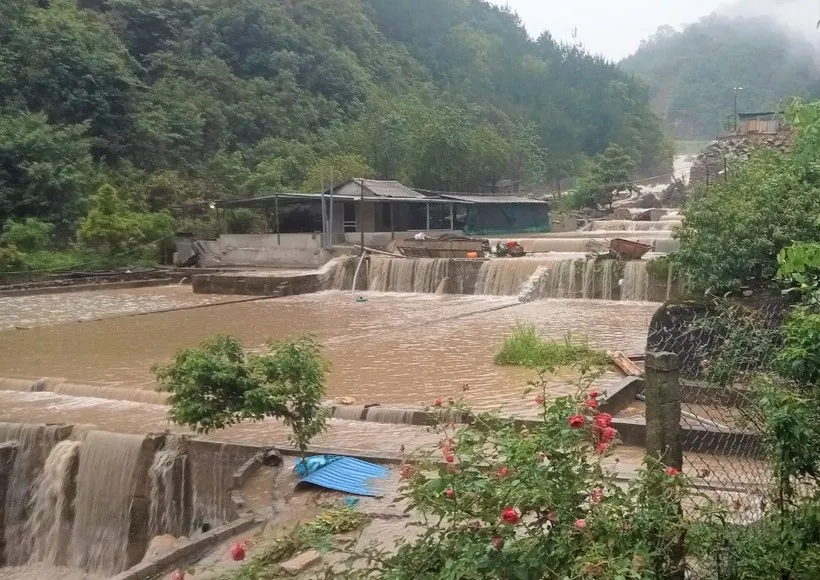 mua-lon-hang-tan-ca-tam-do-ve-nguoi-thi-nhau-bat-nguoi-khoc-vi-mat-trang-1