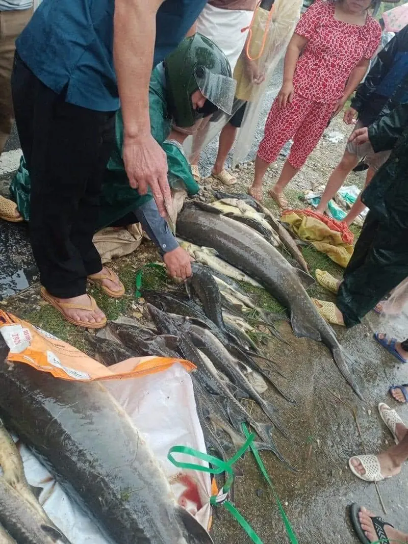 mua-lon-hang-tan-ca-tam-do-ve-nguoi-thi-nhau-bat-nguoi-khoc-vi-mat-trang-6