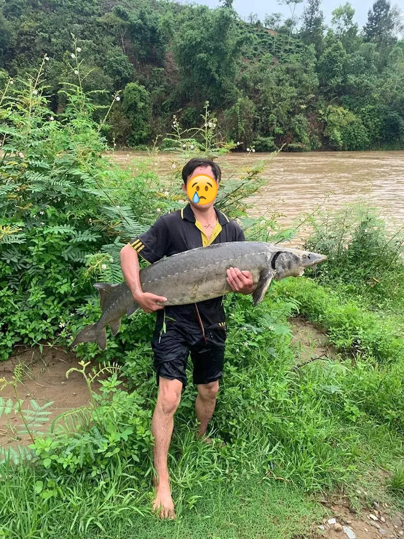 mua-lon-hang-tan-ca-tam-do-ve-nguoi-thi-nhau-bat-nguoi-khoc-vi-mat-trang-8