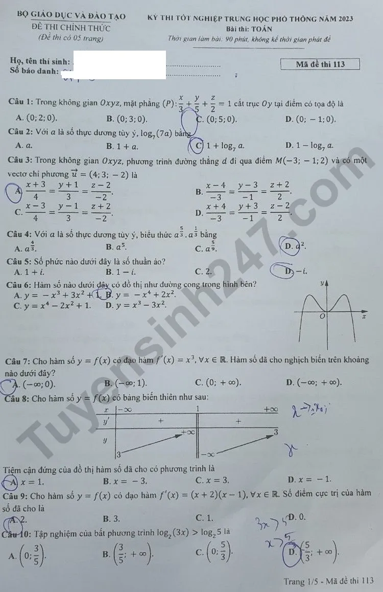 goi-y-dap-an-ma-de-113-2