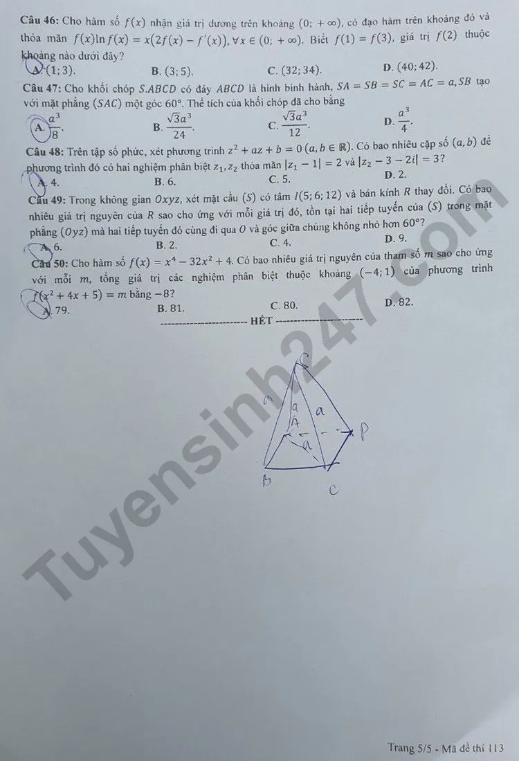 goi-y-dap-an-ma-de-113-6