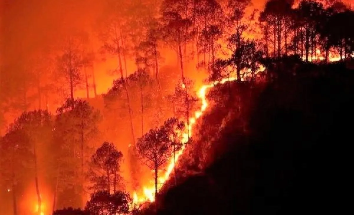 than-dong-an-do-tien-tri-nua-cuoi-nam-2023-goi-thang-ten-2-nuoc-gan-viet-nam-se-co-chuyen-lon-4