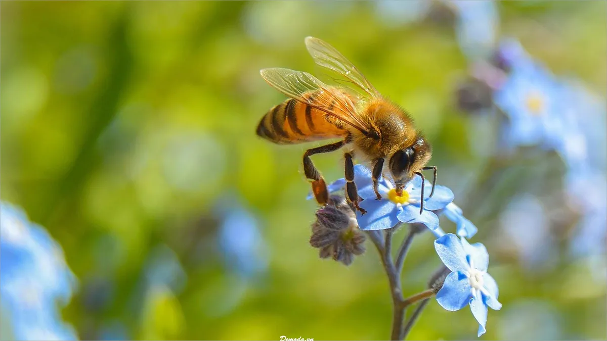 thien-tai-einstein-tien-tri-7-dieu-ve-tuong-lai-da-co-4-dieu-ung-nghiem-3-dieu-con-lai-dang-lo-ngai-6