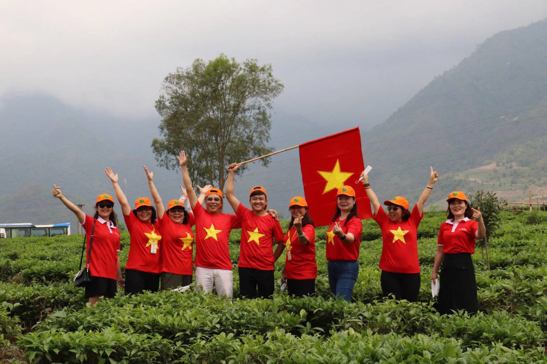 viet-nam-co-mot-dong-ho-thuoc-top-pho-bien-nhat-the-gioi-cu-10-nguoi-se-co-4-nguoi-mang-ho-nay-3