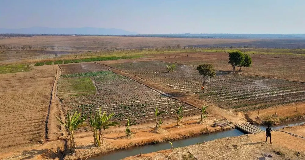 quang-linh-vlog-he-lo-gia-dat-o-chau-phi-re-den-muc-nao-ma-tang-moi-nhan-vien-1-manh-4