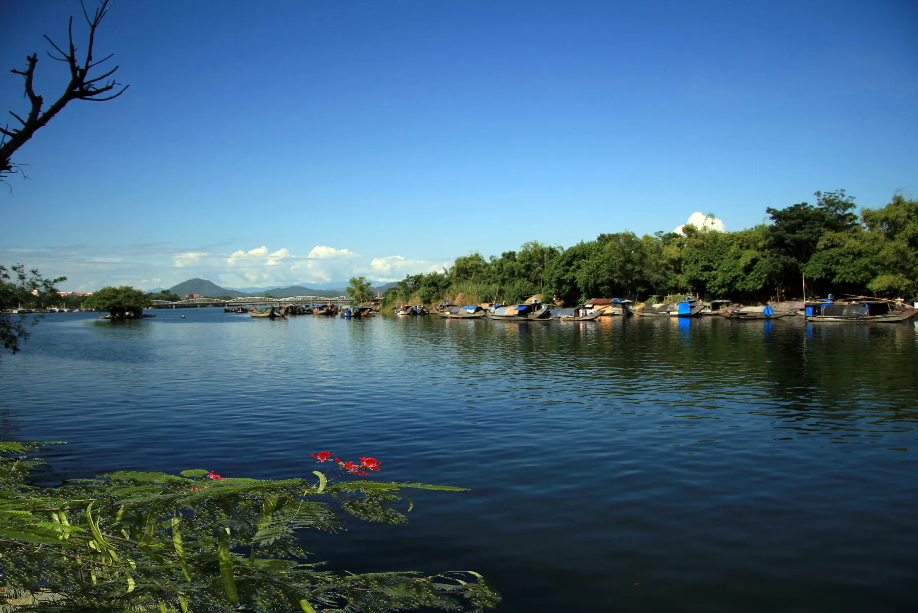 nha-van-hoang-phu-ngoc-tuong-qua-doi-sau-1-thang-vo-mat-5