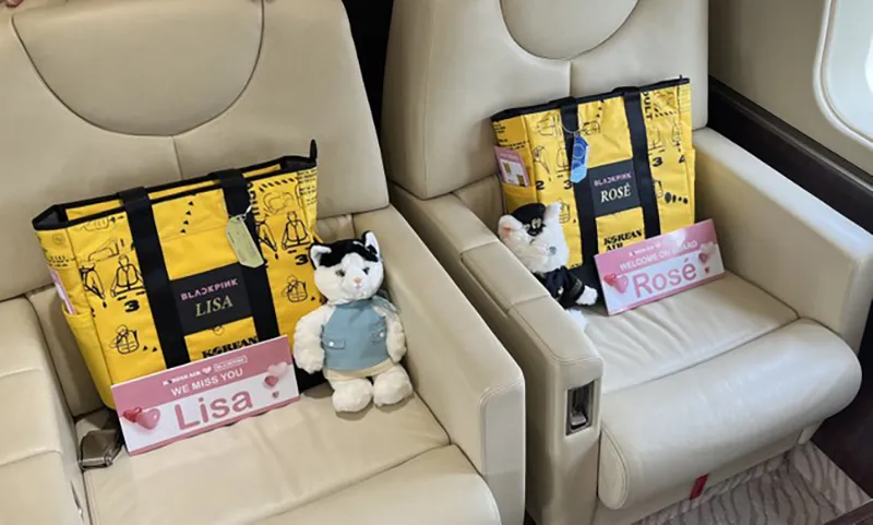 ben-trong-chuyen-co-cho-blackpink-den-ha-noi-co-gi-khien-ai-cung-thot-len-penthouse-tren-khong-1