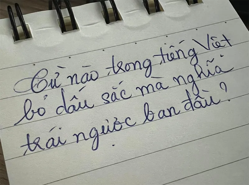 mot-tu-trong-tieng-viet-bo-dau-sac-thi-nghia-trai-nguoc-ban-dau-thong-minh-den-may-cung-khong-nghi-ra-5