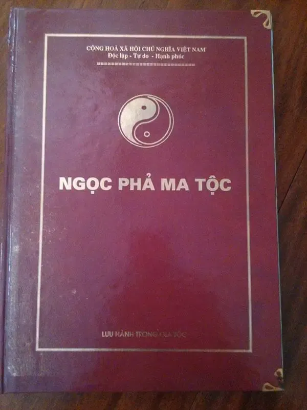bi-an-ve-dong-ho-lau-doi-nhat-viet-nam-co-tu-thoi-hung-vuong-nghe-ten-ai-cung-so-xanh-mat-5
