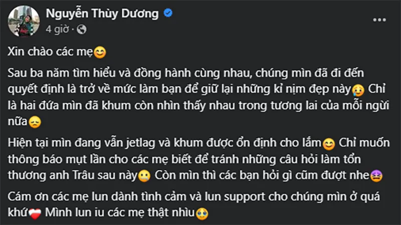 tyd-thuy-duong-va-michael-truong-chia-tay-5