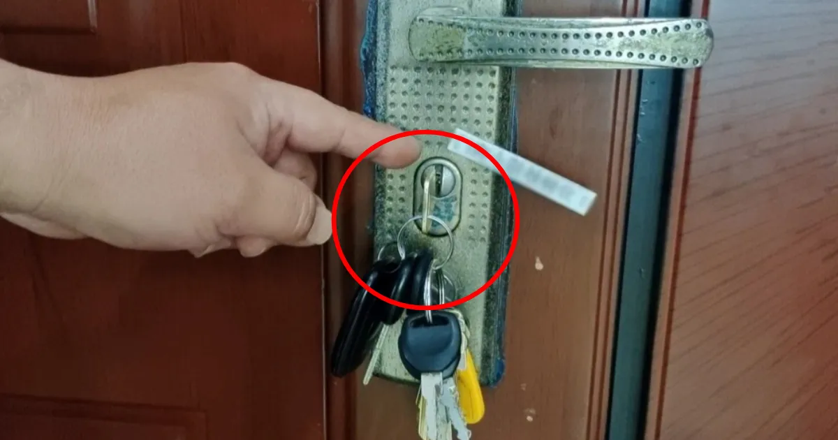 meo-chong-trom-cam-chia-khoa-vao-o-truoc-khi-di-ngu-vi-sao-2