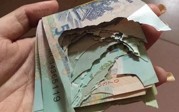 tien-rach-cho-doi-ngan-hang-duoc-khong-1