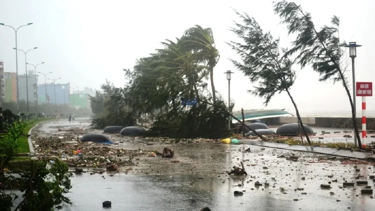 bao-koinu-giat-cap-17-khi-nao-se-do-bo-vao-bien-dong-1