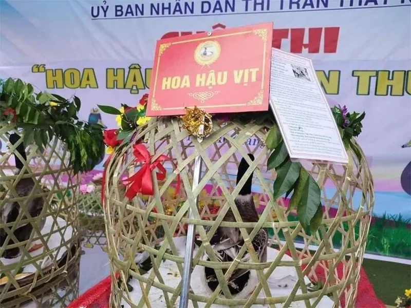 xuat-hien-hoa-hau-vit-tai-viet-nam-tan-hoa-hau-duoc-35-trieu-a-hau-1-va-2-duoc-10-va-6-trieu-dong-1