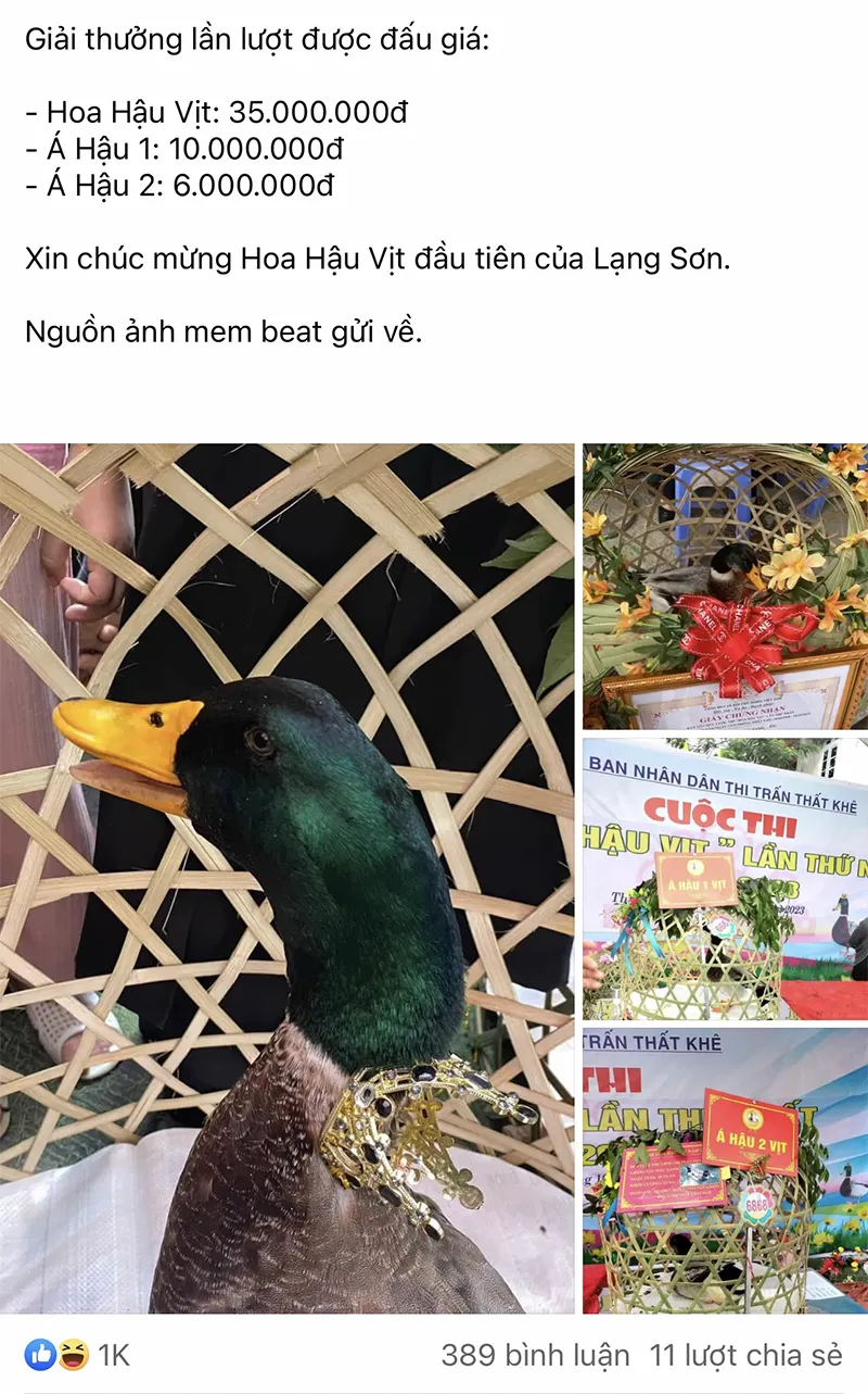 xuat-hien-hoa-hau-vit-tai-viet-nam-tan-hoa-hau-duoc-35-trieu-a-hau-1-va-2-duoc-10-va-6-trieu-dong-3