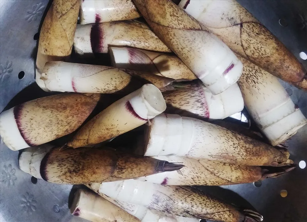 chuyen-gia-canh-bao-nhung-thuc-pham-tu-chua-chat-cuc-doc-xyanua-luu-y-khi-che-bien-3