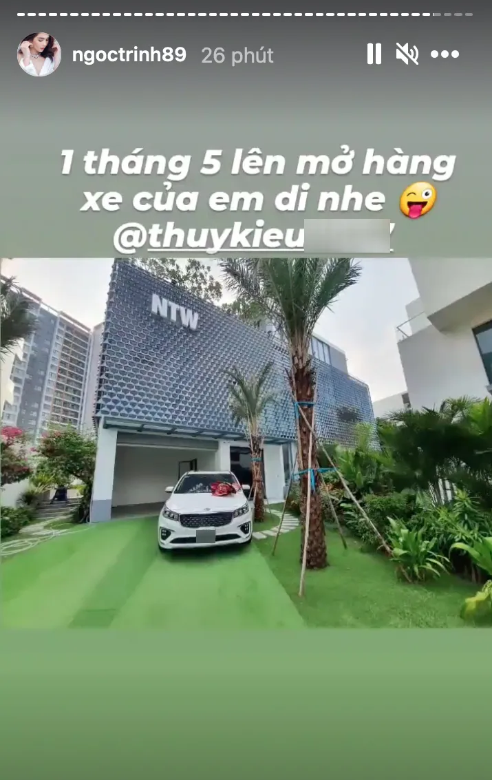 ngoc-trinh-bi-kham-xet-biet-thu-trieu-do-he-lo-khoi-tai-san-khong-lo-truoc-khi-bi-bat-10