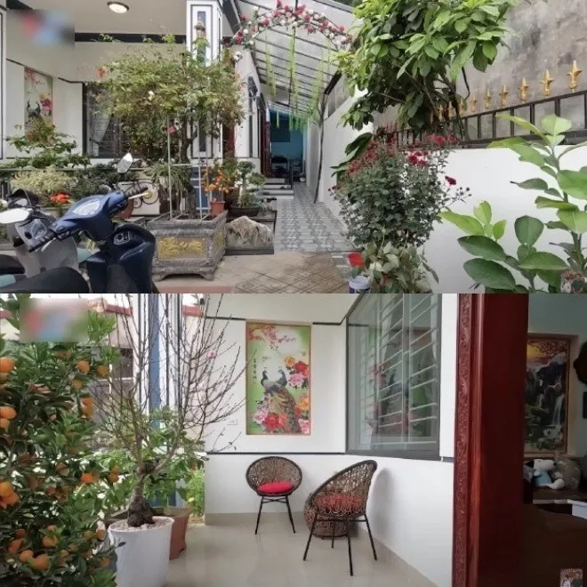 nguoi-phu-nu-u50-tung-duoc-tran-thanh-khen-vi-dieu-doi-doi-sau-1-dem-xay-nha-be-the-cung-thu-nhap-chuc-trieu-5