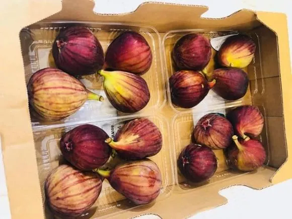 mot-loai-qua-viet-re-nhu-cho-moc-day-bo-ao-khong-ai-an-co-nguoi-lai-bo-2-trieu-mua-tu-nuoc-ngoai-1