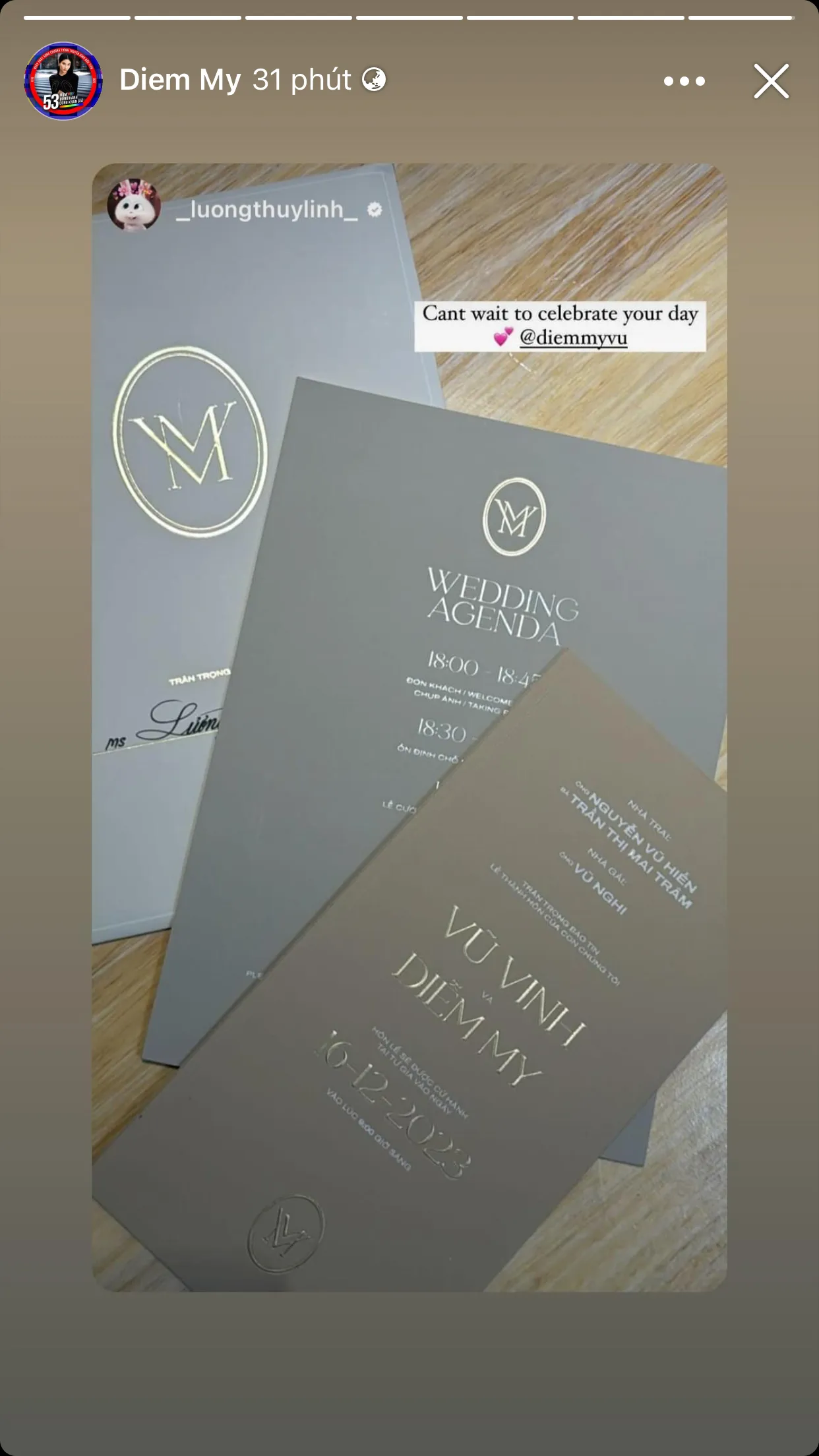 he-lo-dan-khach-moi-khung-tham-du-dam-cuoi-diem-my-9x-mot-cai-ten-duoc-trong-cho-lam-phu-dau-10