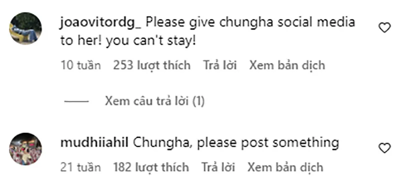 mot-nu-ca-si-lang-le-mat-tich-khoi-showbiz-suot-1-nam-qua-fan-tim-khap-noi-van-khong-thay-tung-tich-7