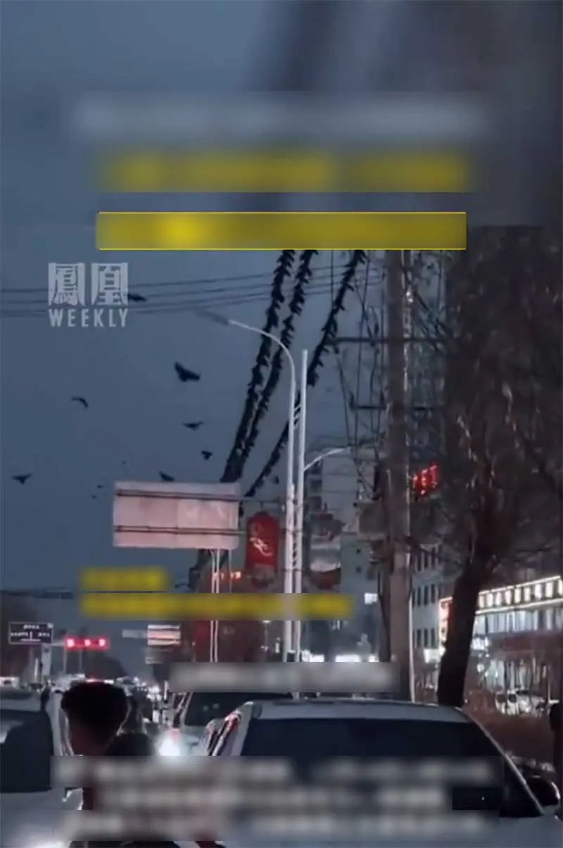 phat-hien-canh-tuong-ky-la-o-cam-tuc-truoc-2-ngay-dong-dat-khien-118-nguoi-chet-da-du-doan-truoc-tai-hoa-1