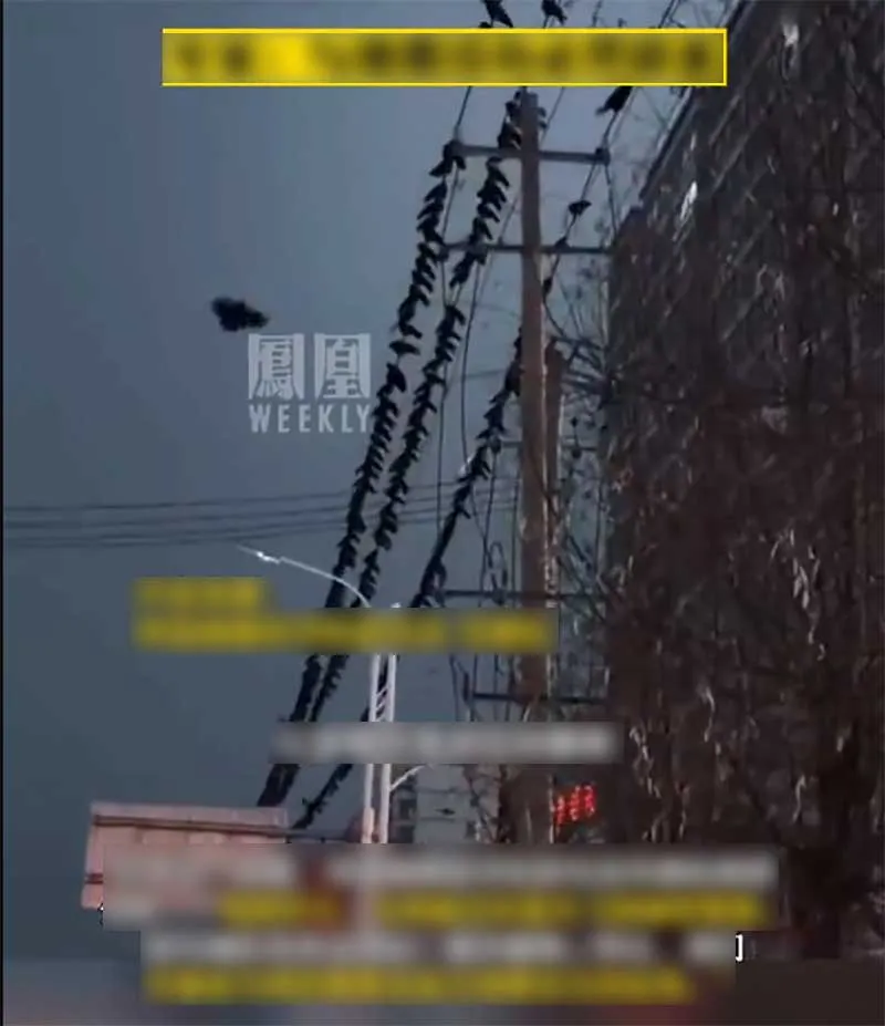 phat-hien-canh-tuong-ky-la-o-cam-tuc-truoc-2-ngay-dong-dat-khien-118-nguoi-chet-da-du-doan-truoc-tai-hoa-3