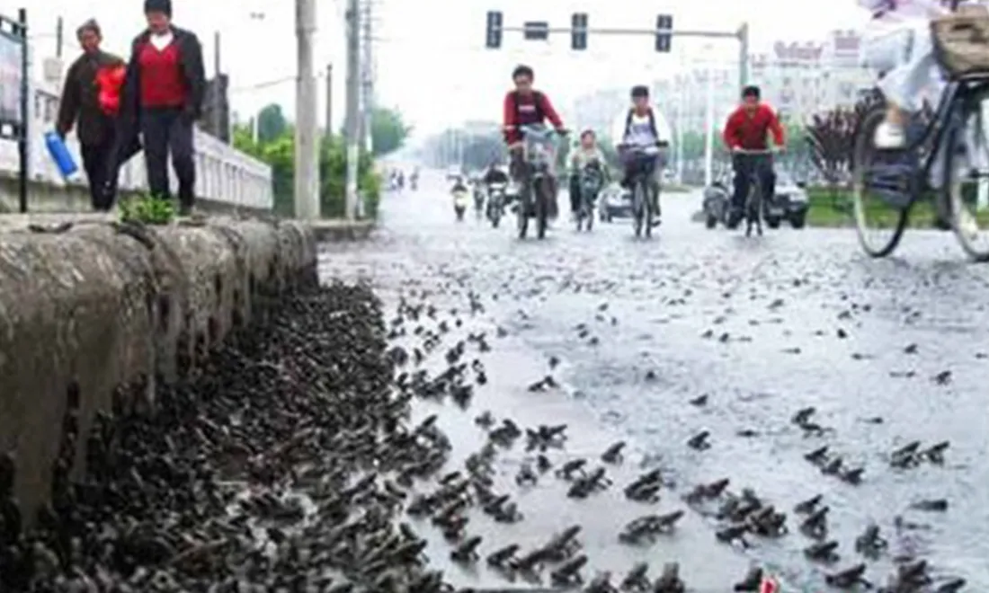 phat-hien-canh-tuong-ky-la-o-cam-tuc-truoc-2-ngay-dong-dat-khien-118-nguoi-chet-da-du-doan-truoc-tai-hoa-9