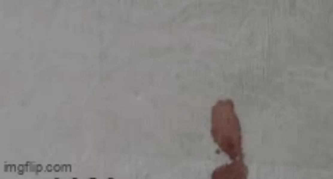 thay-chat-long-mau-do-chay-ra-tu-trong-vach-tuong-chu-nha-tuc-toc-goi-nguoi-kiem-tra-phat-hien-su-that-1