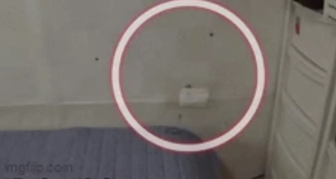 thay-chat-long-mau-do-chay-ra-tu-trong-vach-tuong-chu-nha-tuc-toc-goi-nguoi-kiem-tra-phat-hien-su-that-4