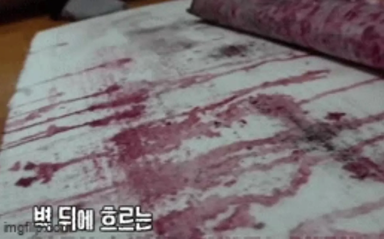 thay-chat-long-mau-do-chay-ra-tu-trong-vach-tuong-chu-nha-tuc-toc-goi-nguoi-kiem-tra-phat-hien-su-that-5