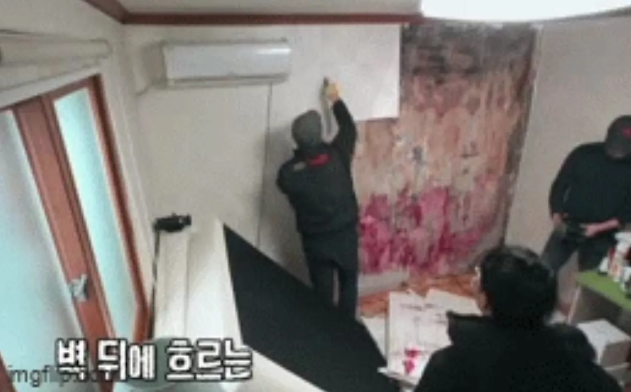 thay-chat-long-mau-do-chay-ra-tu-trong-vach-tuong-chu-nha-tuc-toc-goi-nguoi-kiem-tra-phat-hien-su-that-6