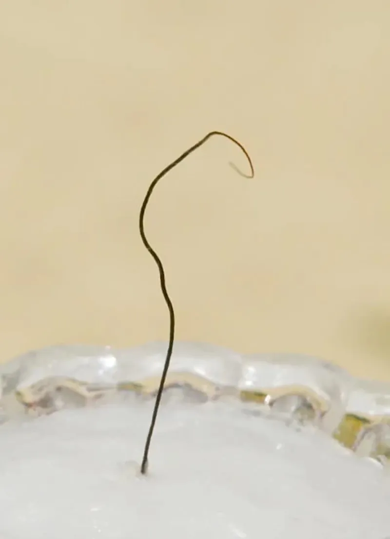 thuc-hu-ve-xa-loi-toc-phat-co-kha-nang-tu-chuyen-dong-hot-ran-ran-tren-mang-4