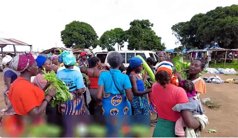 mot-loai-la-o-viet-nam-thuong-bi-cat-bo-di-nhung-lai-duoc-thuong-lai-tranh-mua-o-chau-phi-tuong-nhu-dac-san-4